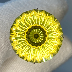 Concave Sunflower